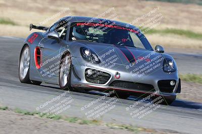 media/May-03-2024-PCA Central Coast (Fri) [[eaa7da0ee1]]/Yellow Group/Session 1 (Grapevine)/